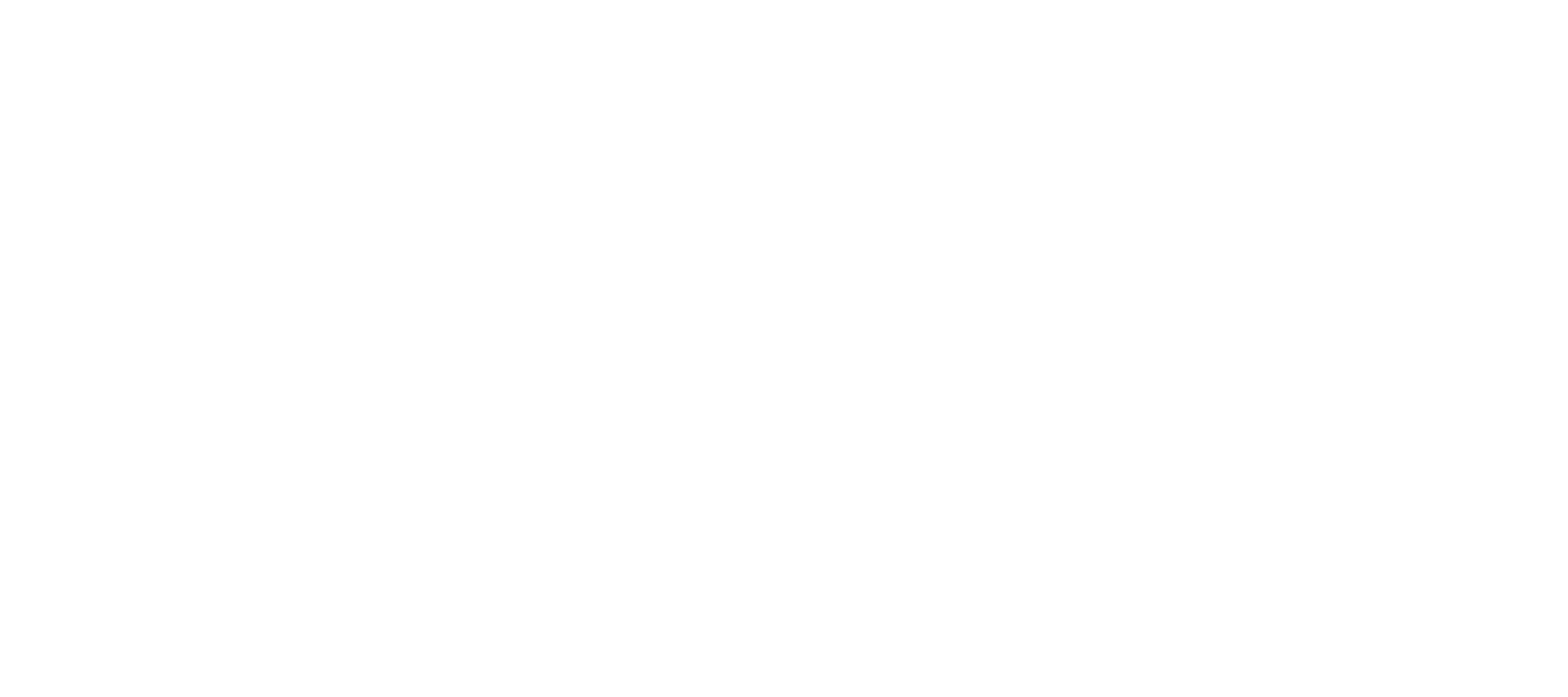 dpd logo white